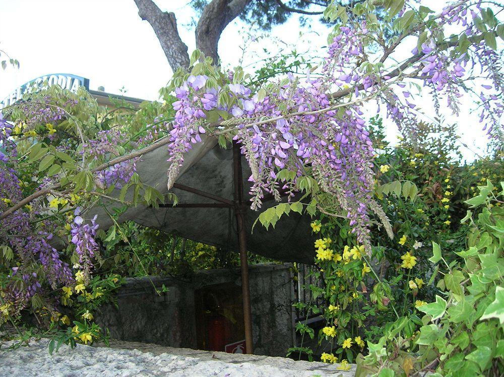 سيرمِيوني Hotel Villa Pagoda المظهر الخارجي الصورة